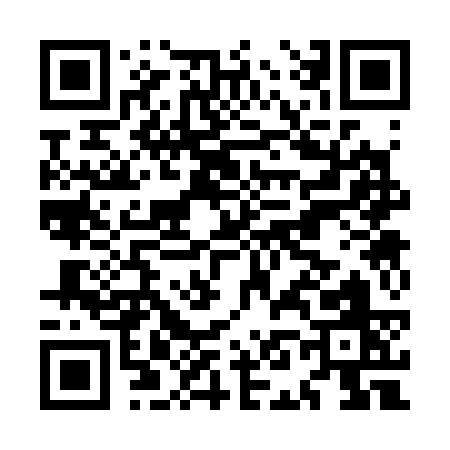 QR code for MN333