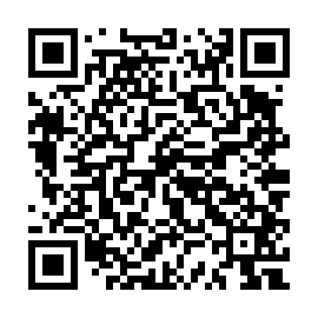 QR code for MSNT41