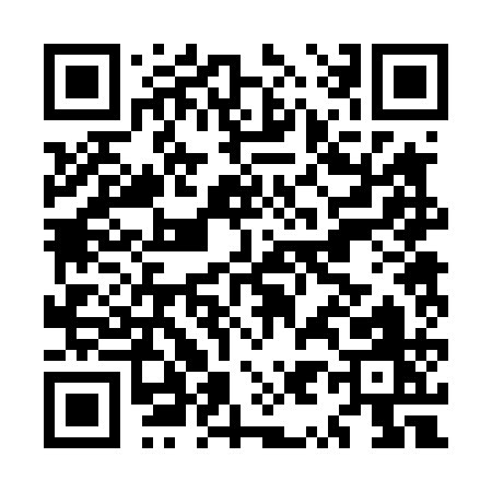 QR code for MY241