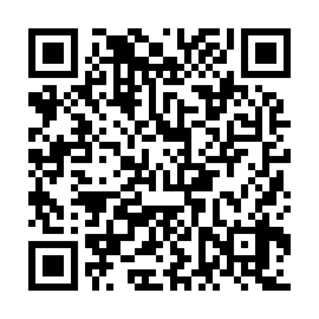 QR code for NFZ938