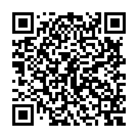 QR code for NLZH96