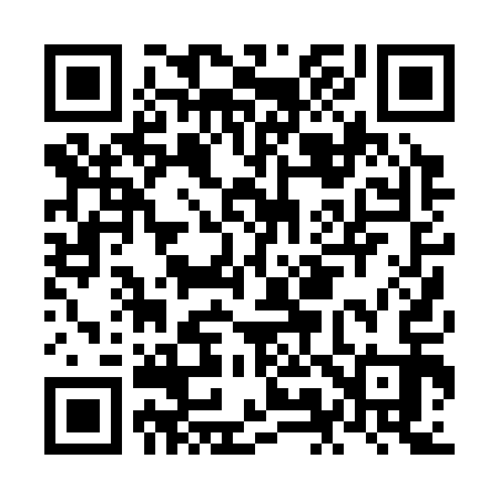 QR code for NM0313