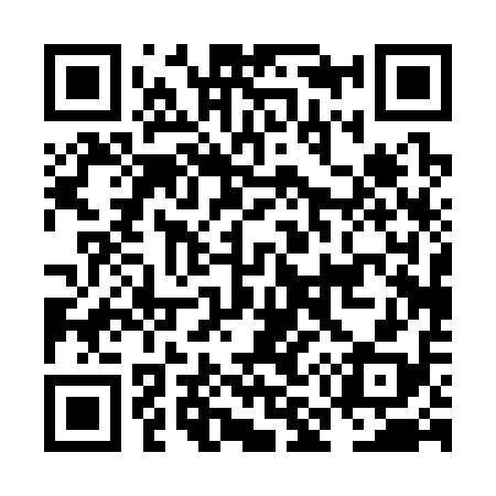 QR code for NM0318