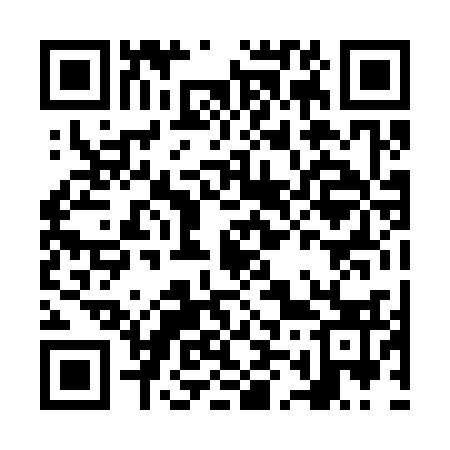 QR code for NM0333