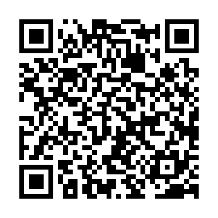 QR code for NM0335