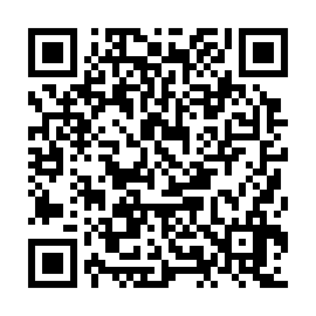 QR code for NM0336