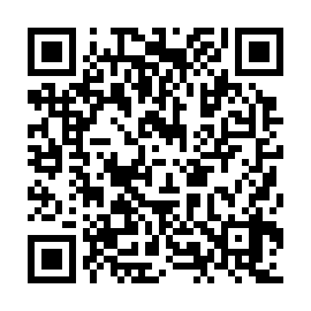 QR code for NM0338