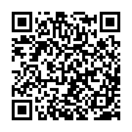 QR code for NM0383
