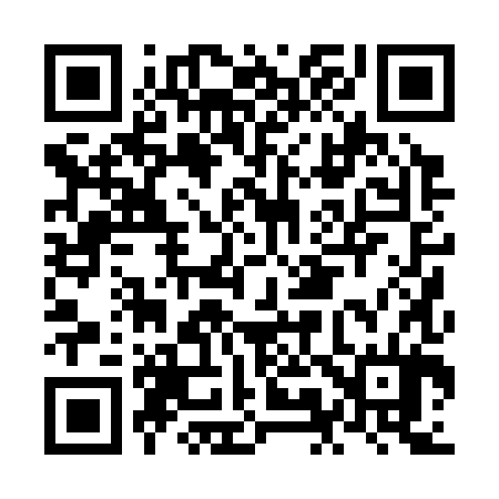 QR code for NM0384