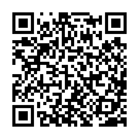 QR code for NM0689