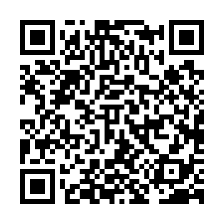 QR code for NM0738
