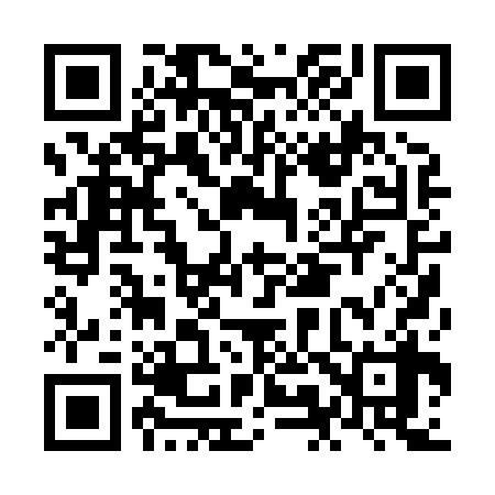 QR code for NM0838