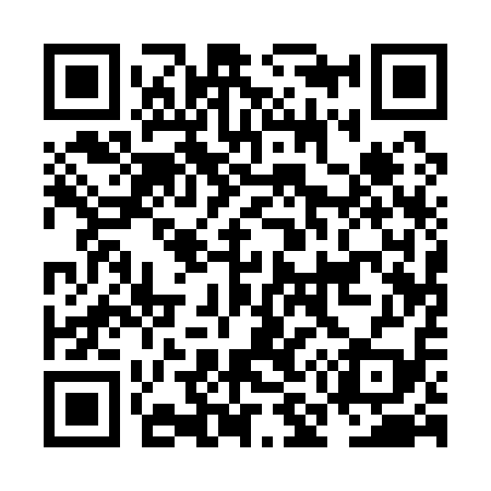 QR code for NM1119
