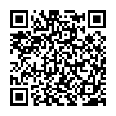 QR code for NM1133