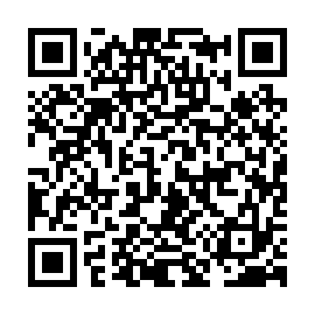 QR code for NM1233