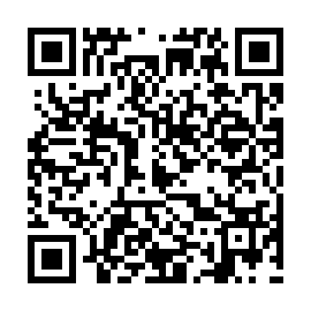 QR code for NM1333