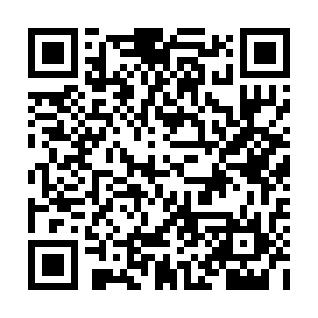 QR code for NM2236