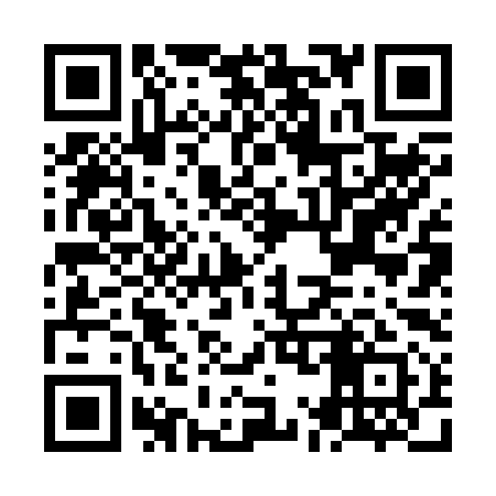 QR code for NM2291