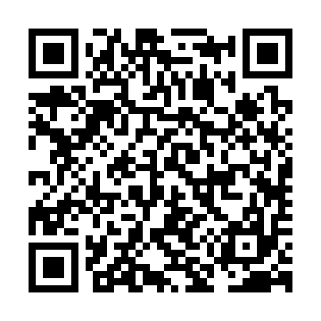 QR code for NM2317