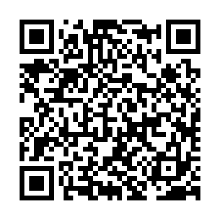 QR code for NM2333