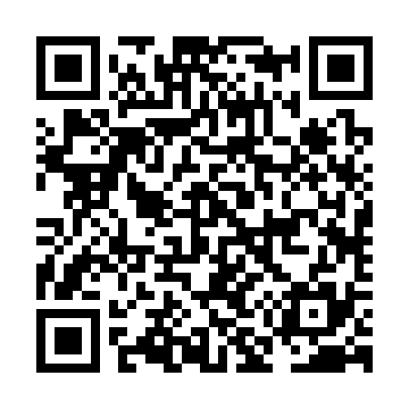QR code for NM2335