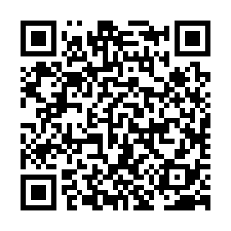 QR code for NM2338