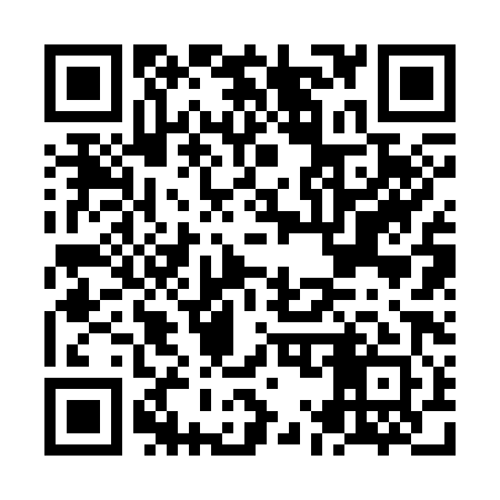 QR code for NM2381