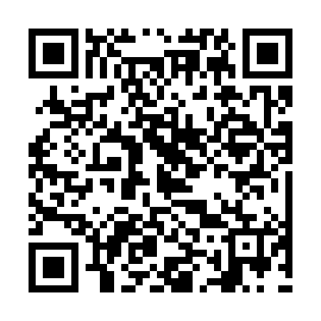 QR code for NM2385