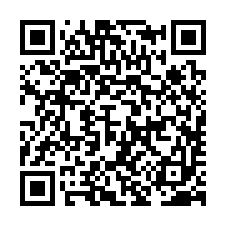 QR code for NM2393