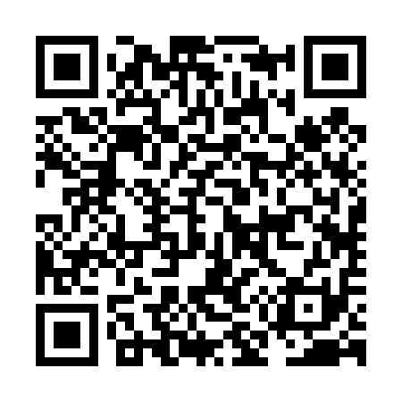QR code for NM2411