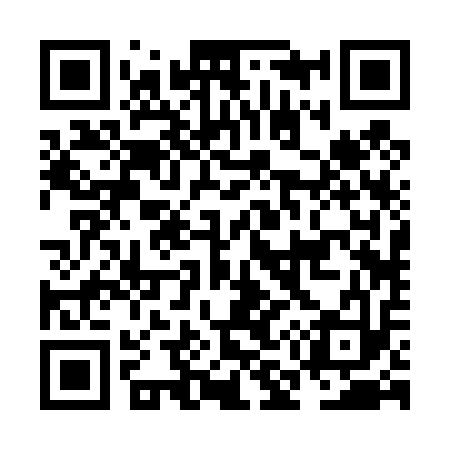 QR code for NM2413