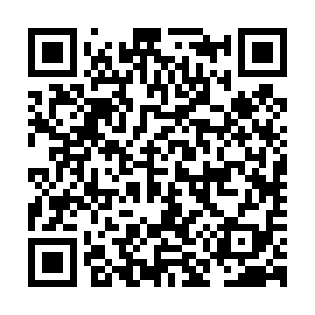 QR code for NM2419