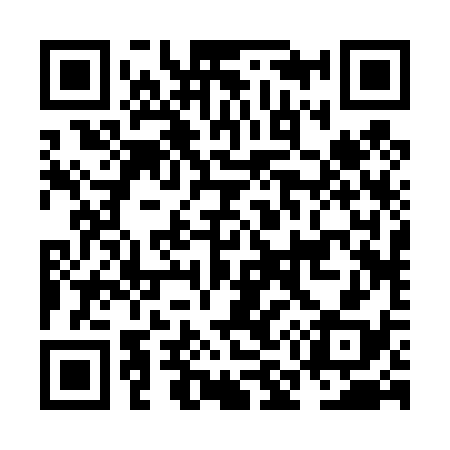 QR code for NM2438
