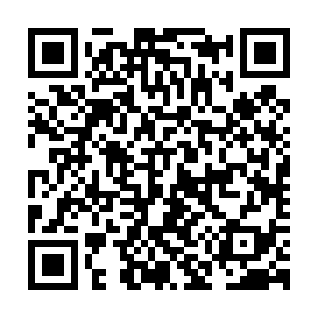 QR code for NM2439