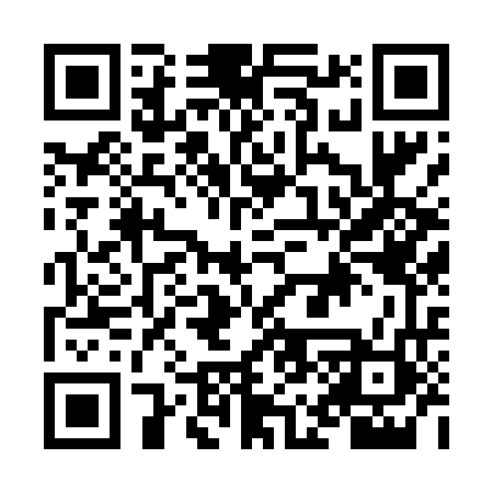 QR code for NM2462