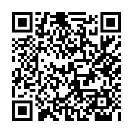QR code for NM2487