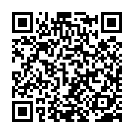 QR code for NM2528