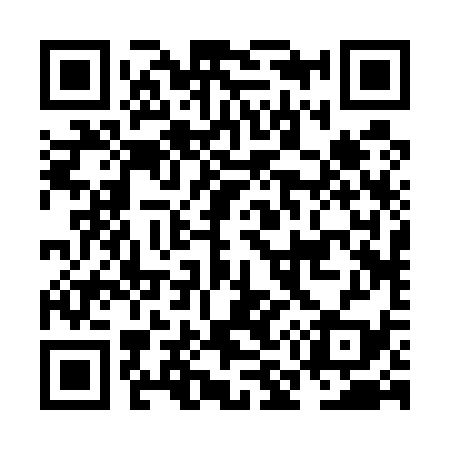 QR code for NM2539
