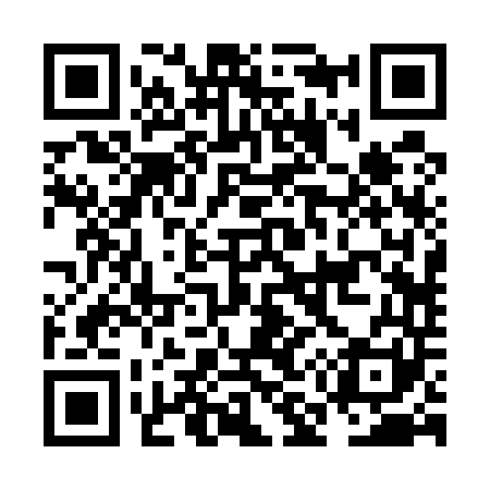 QR code for NM2541