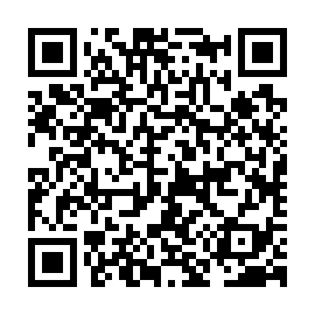 QR code for NM2739