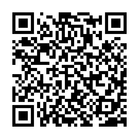 QR code for NM2818