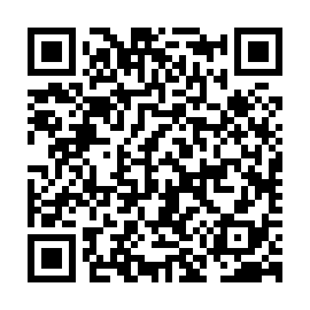 QR code for NM2838