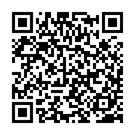 QR code for NM2900
