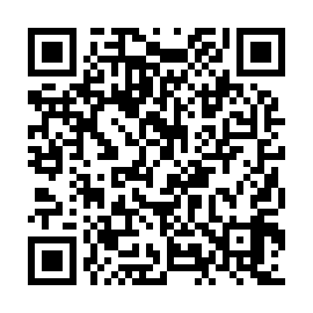 QR code for NM2919