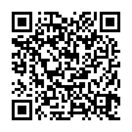 QR code for NM2920