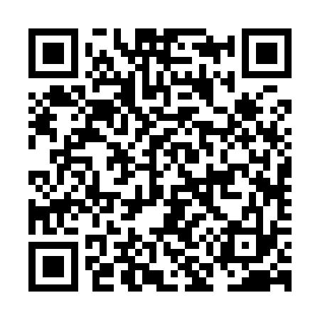 QR code for NM2933