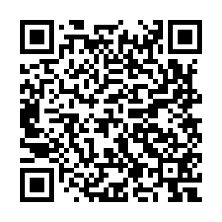 QR code for NM2951