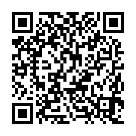 QR code for NM2991