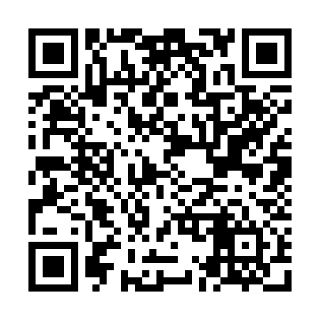 QR code for NM3334