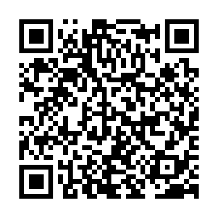 QR code for NM3338